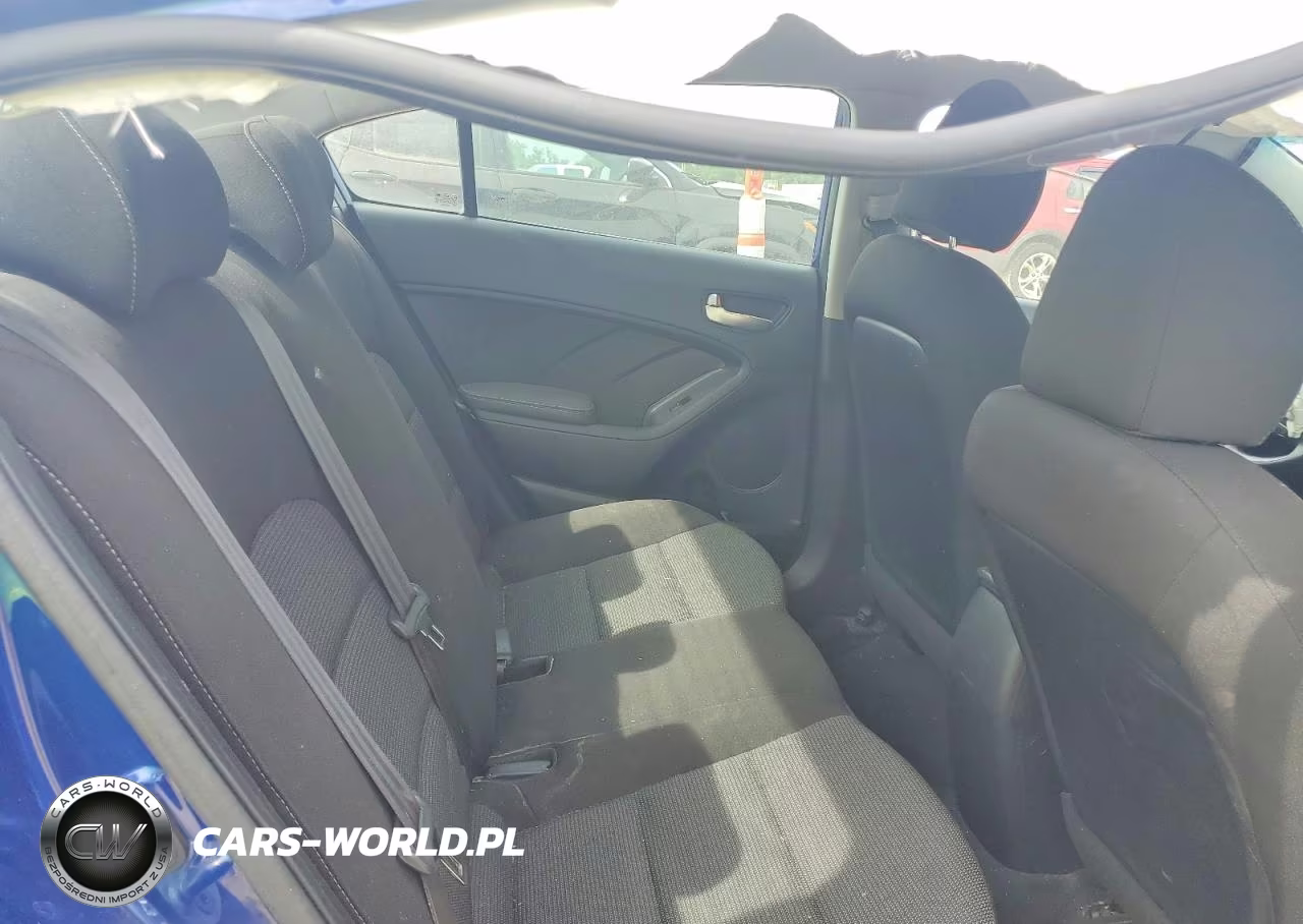 2017 Kia Forte Lx VIN:3KPFK4A71HE037911 - 10