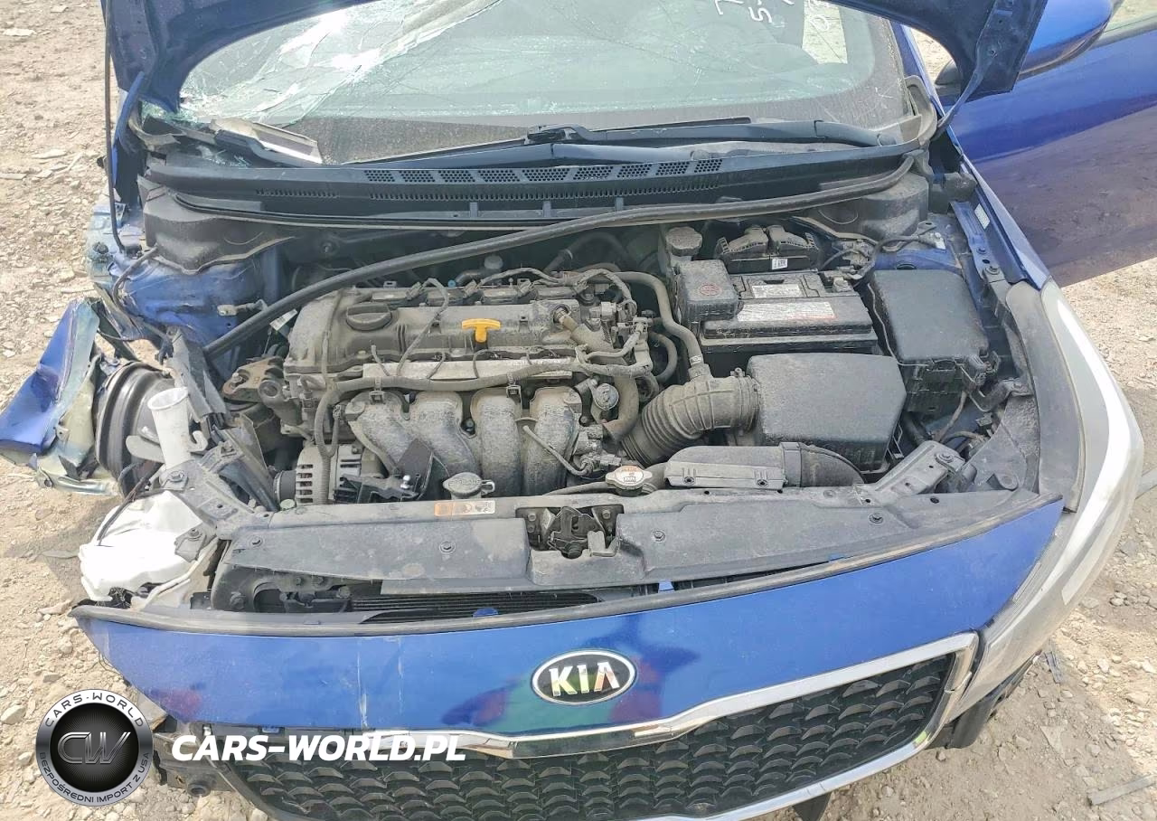 2017 Kia Forte Lx VIN:3KPFK4A71HE037911 - 11