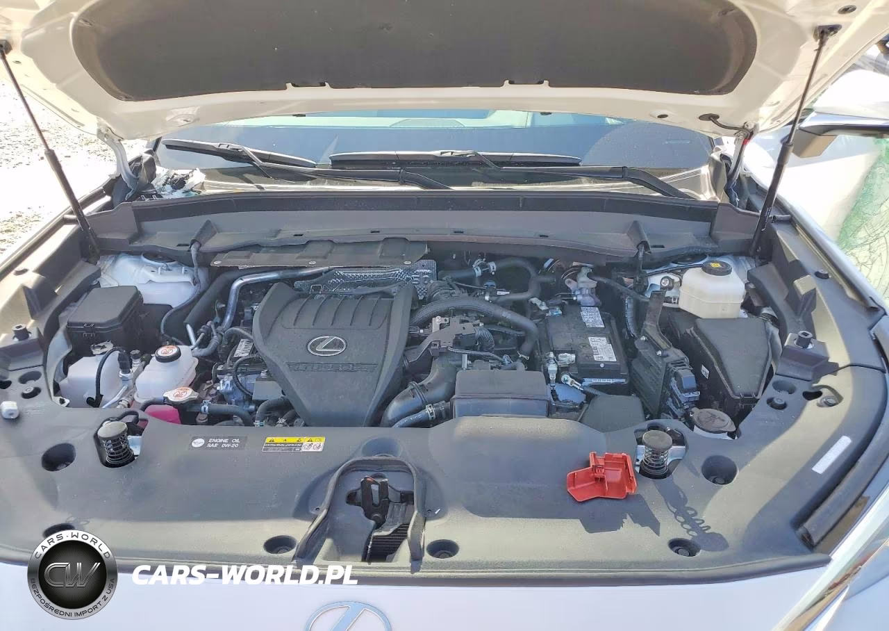 2025 Lexus Tx 350 Luxury VIN:5TDAAAB6XSS044578 - 11