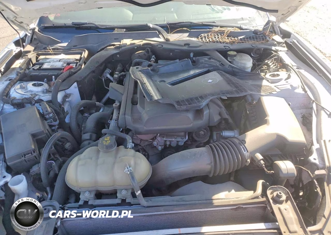 2020 Ford Mustang VIN:1FATP8UH0L5136584 - 11