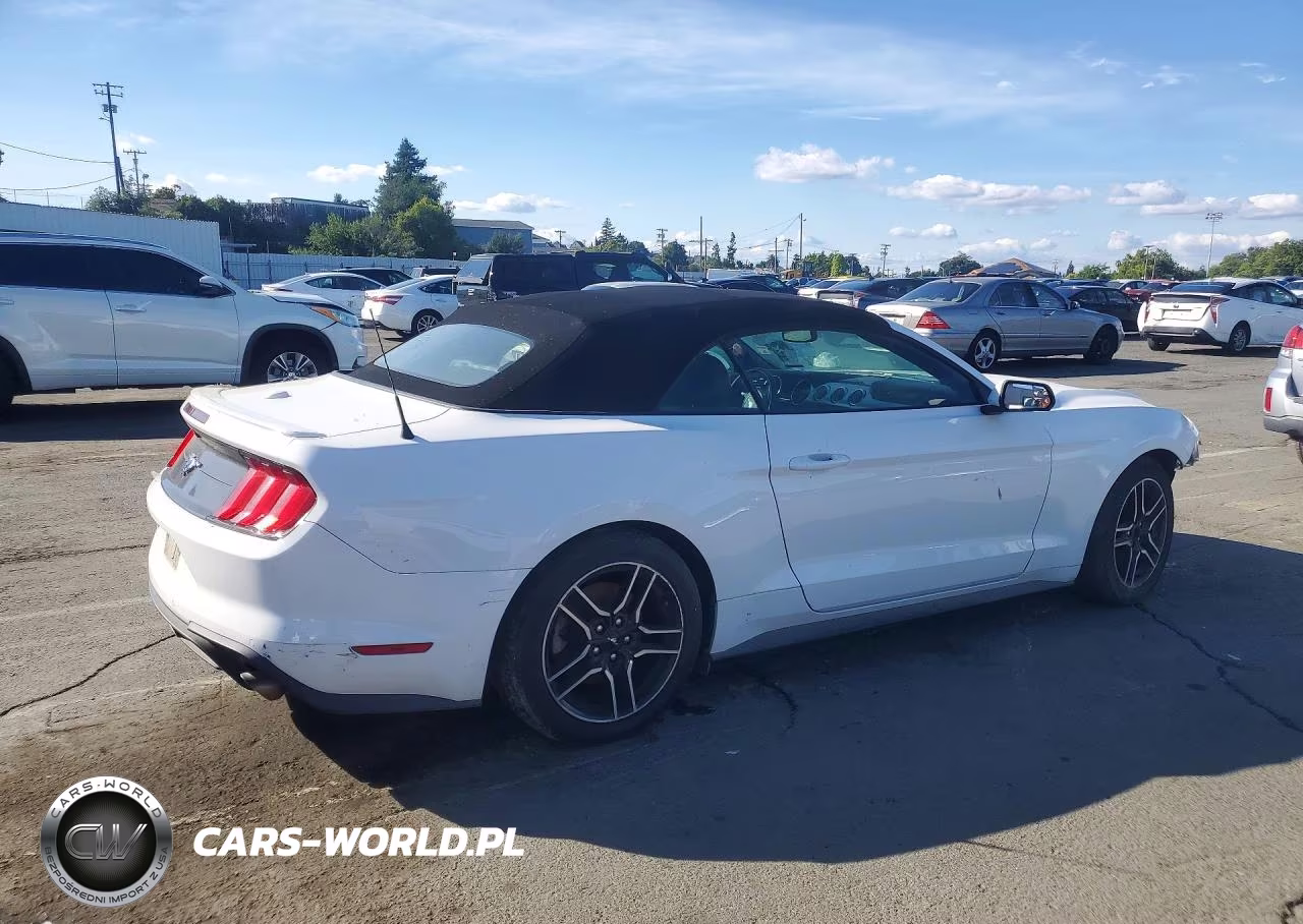 2020 Ford Mustang VIN:1FATP8UH0L5136584 - 3