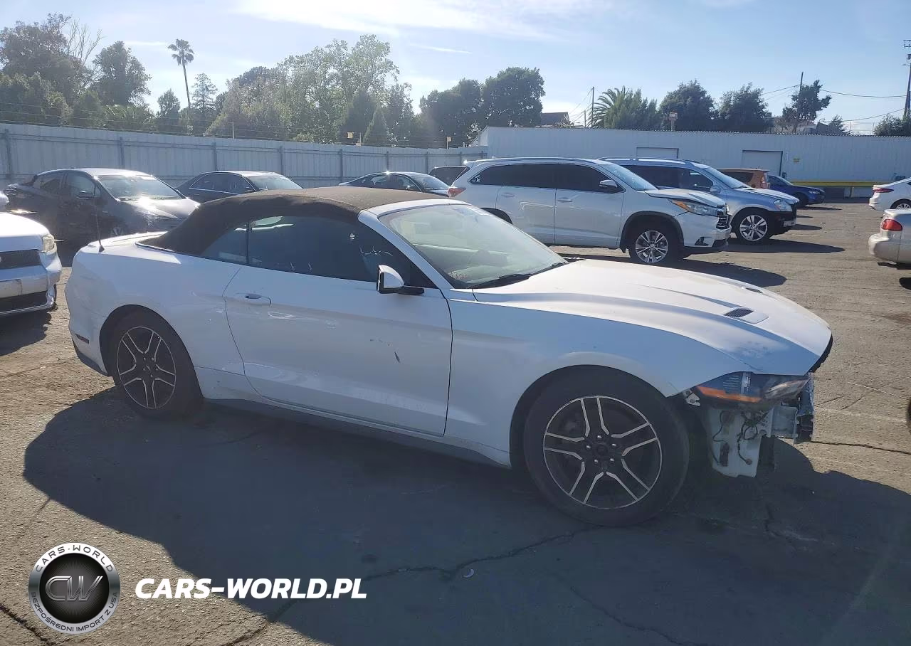 2020 Ford Mustang VIN:1FATP8UH0L5136584 - 4