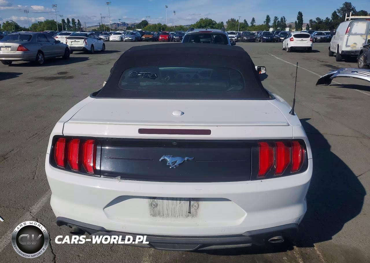 2020 Ford Mustang VIN:1FATP8UH0L5136584 - 6