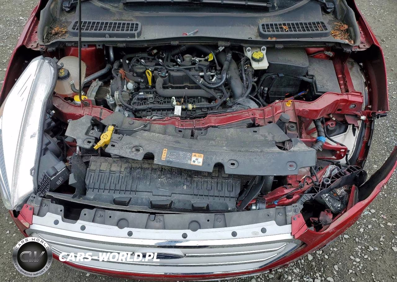 2019 Ford Escape Sel VIN:1FMCU0HD1KUA88959 - 12