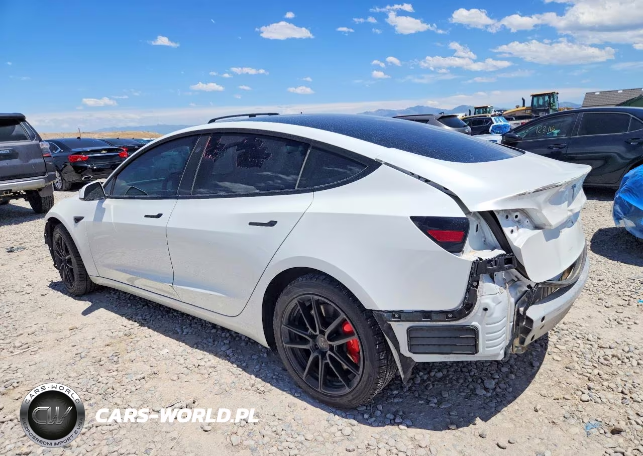 2021 Tesla Model 3 VIN:5YJ3E1EC3MF059669 - 2