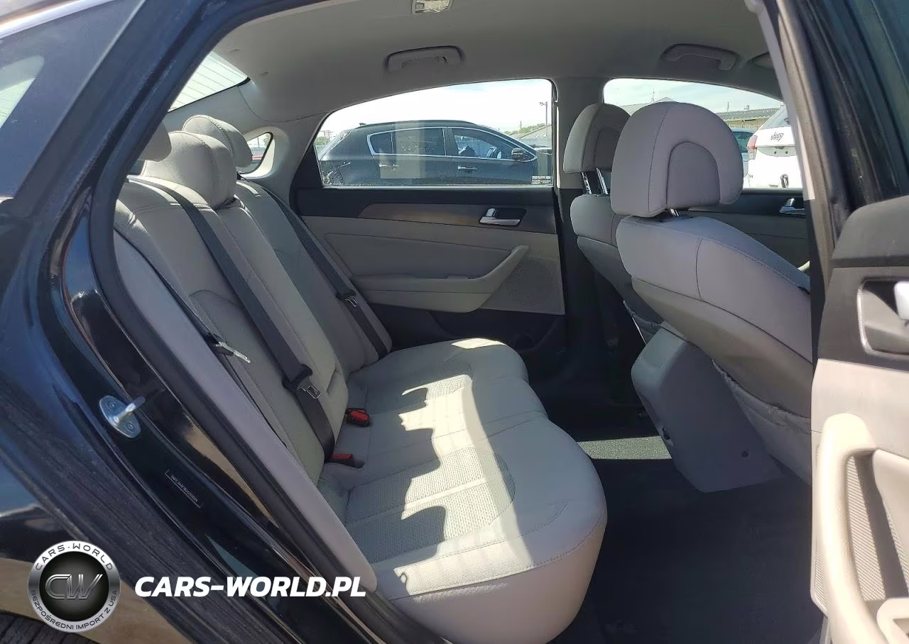 2016 Hyundai Sonata Sport VIN:5NPE34AF9GH290694 - 10