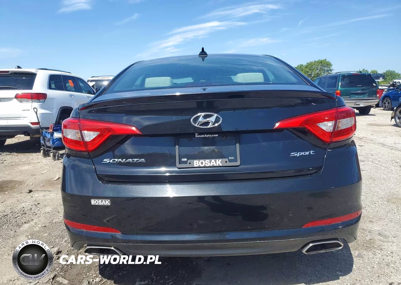 2016 Hyundai Sonata Sport VIN:5NPE34AF9GH290694 - 6