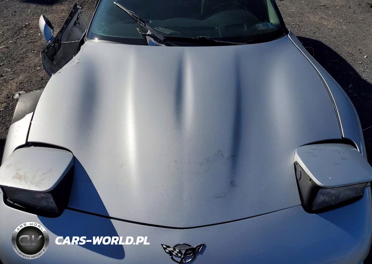2003 Chevrolet Corvette Z06 VIN:1G1YY12S135114850 - 11