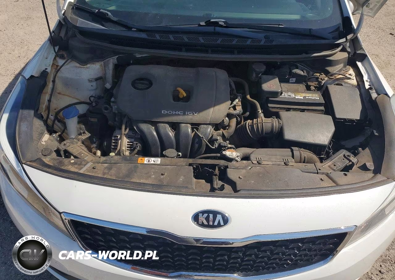 2018 Kia Forte Lx VIN:3KPFL4A75JE212308 - 11