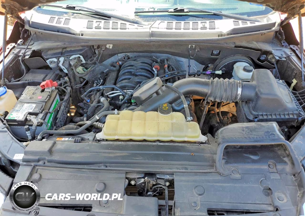 2019 Ford F150 Supercrew VIN:1FTEW1C52KKF26669 - 11