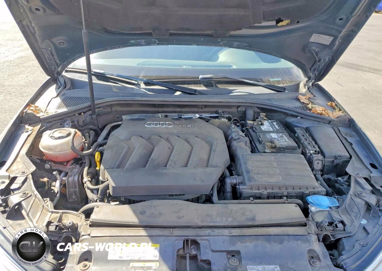2019 Audi A3 Premium Plus VIN:WAUGUGFF2KA086929 - 11