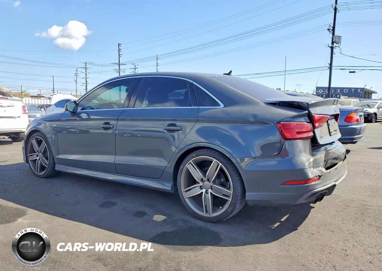 2019 Audi A3 Premium Plus VIN:WAUGUGFF2KA086929 - 2