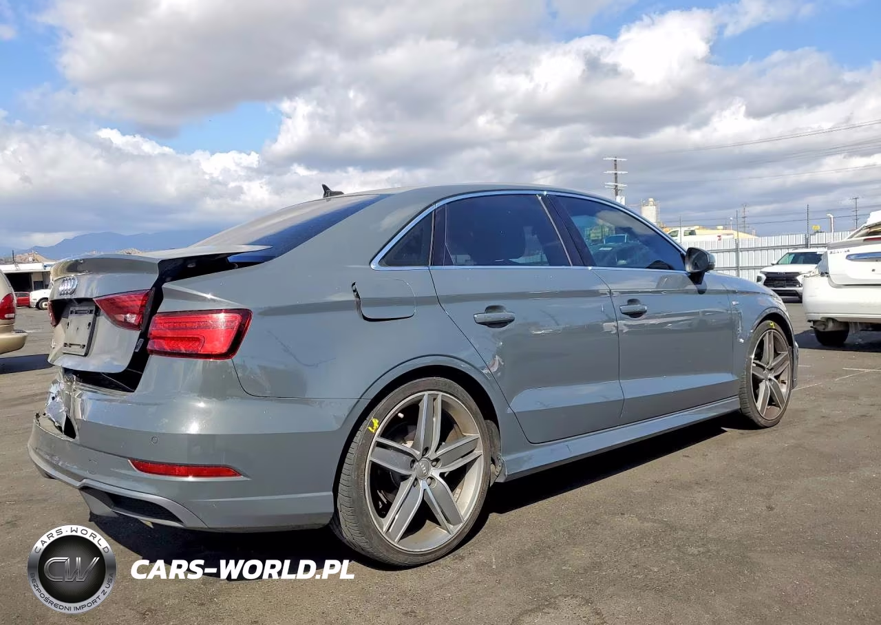 2019 Audi A3 Premium Plus VIN:WAUGUGFF2KA086929 - 3