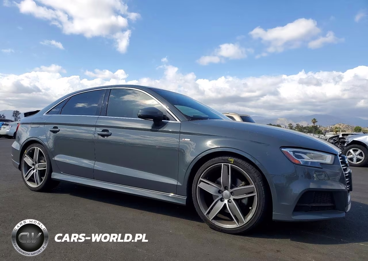 2019 Audi A3 Premium Plus VIN:WAUGUGFF2KA086929 - 4