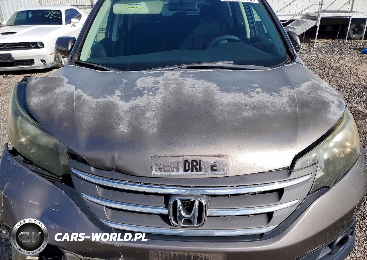 2013 Honda Cr-V Ex VIN:5J6RM3H51DL031396 - 12