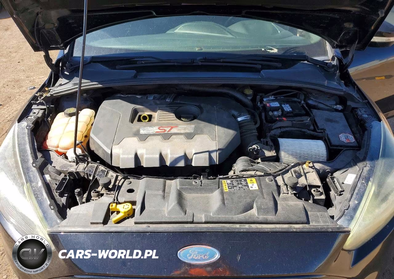 2017 Ford Focus St VIN:1FADP3L92HL237548 - 11