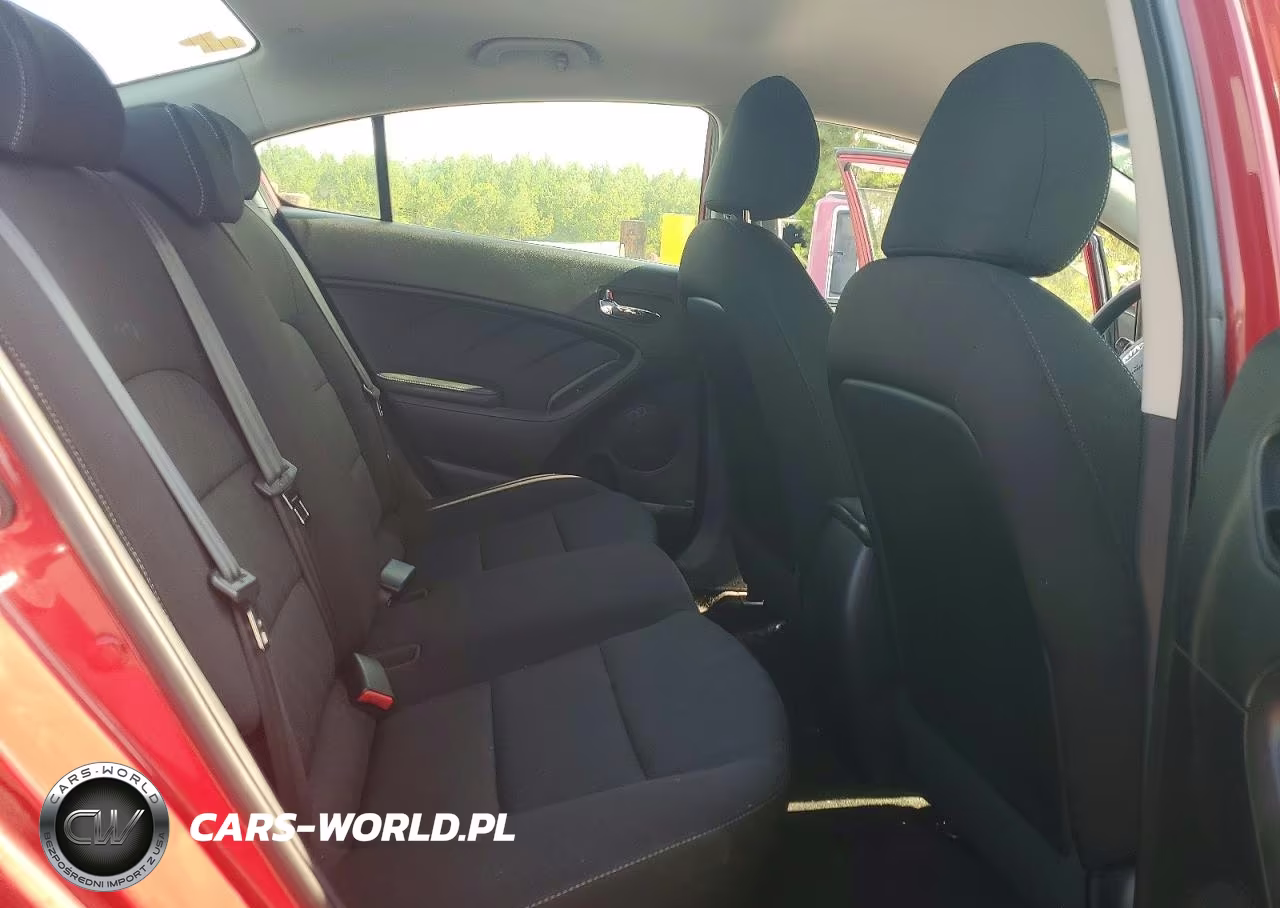 2016 Kia Forte Lx VIN:KNAFK4A6XG5611629 - 10