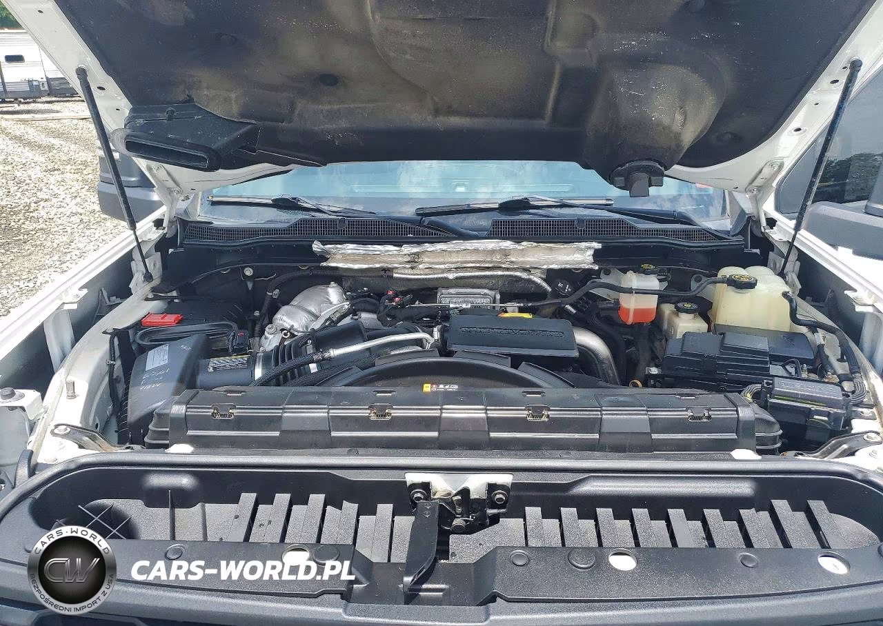 2020 Chevrolet Silverado Work Truck VIN:1GC4YLEYXLF100697 - 11