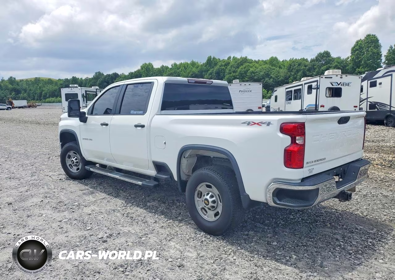 2020 Chevrolet Silverado Work Truck VIN:1GC4YLEYXLF100697 - 2
