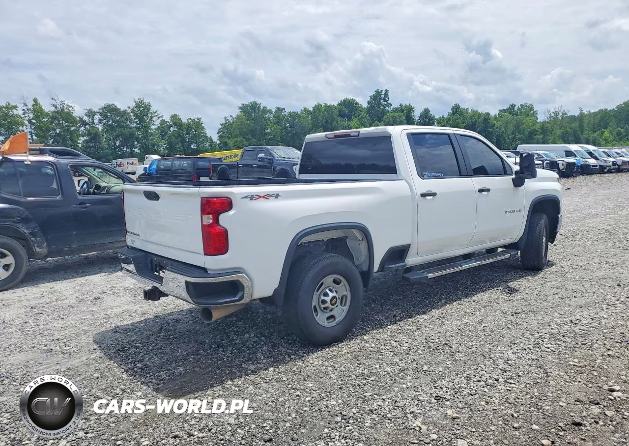 2020 Chevrolet Silverado Work Truck VIN:1GC4YLEYXLF100697 - 3
