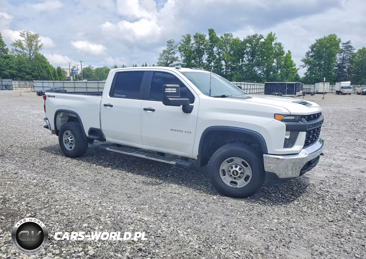 2020 Chevrolet Silverado Work Truck VIN:1GC4YLEYXLF100697 - 4