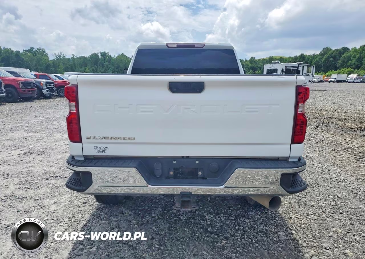 2020 Chevrolet Silverado Work Truck VIN:1GC4YLEYXLF100697 - 6