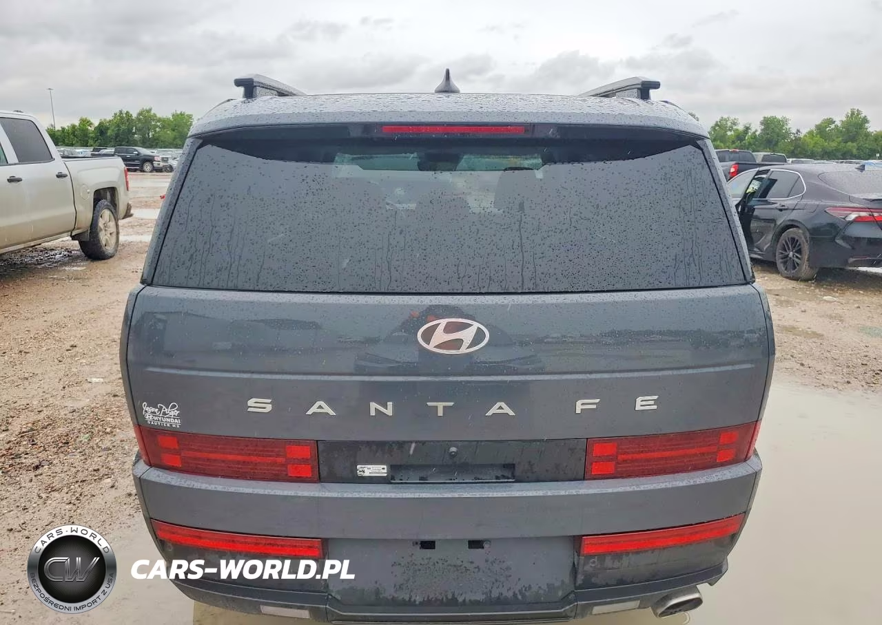 2025 Hyundai Santa Fe Sel VIN:5NMP24GL3SH119776 - 6
