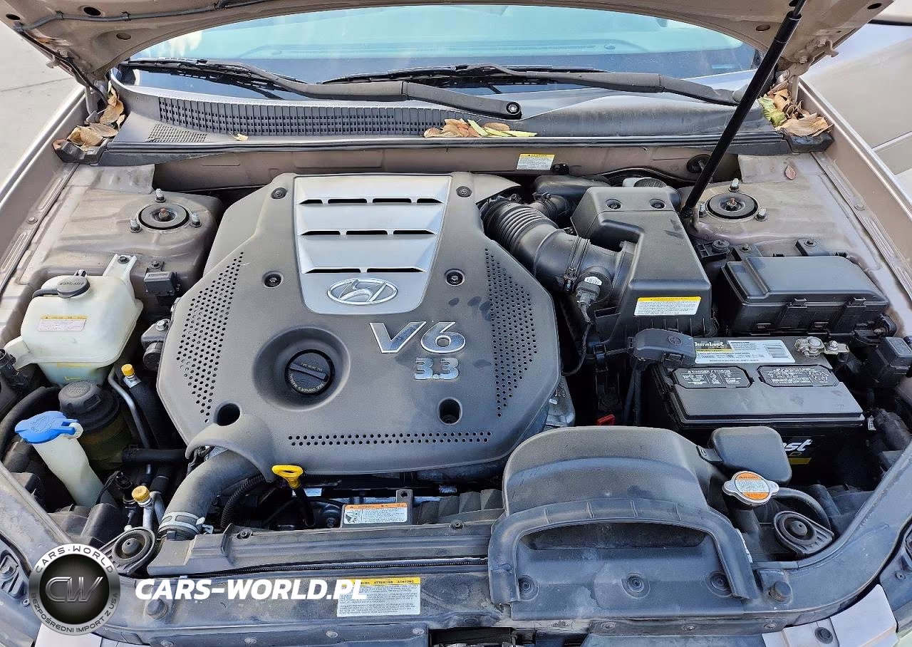 2007 Hyundai Sonata Se VIN:5NPEU46F67H197914 - 11