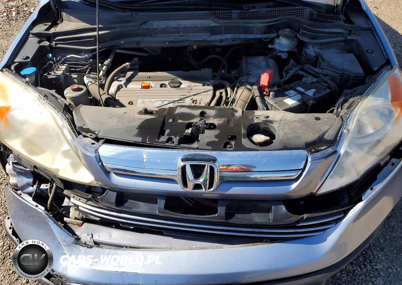 2007 Honda Cr-V Exl VIN:JHLRE487X7C004456 - 12