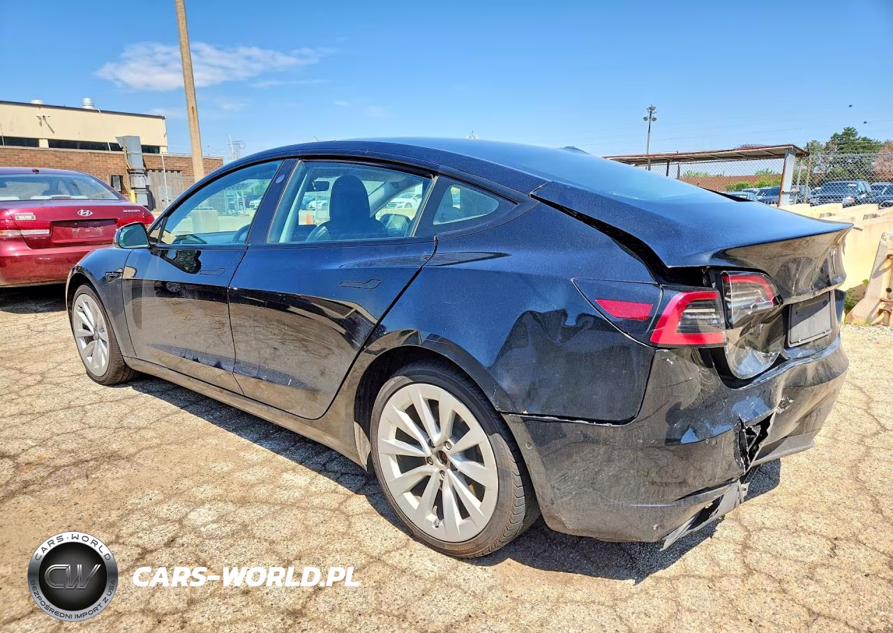 2022 Tesla Model 3 VIN:5YJ3E1EA3NF304650 - 2