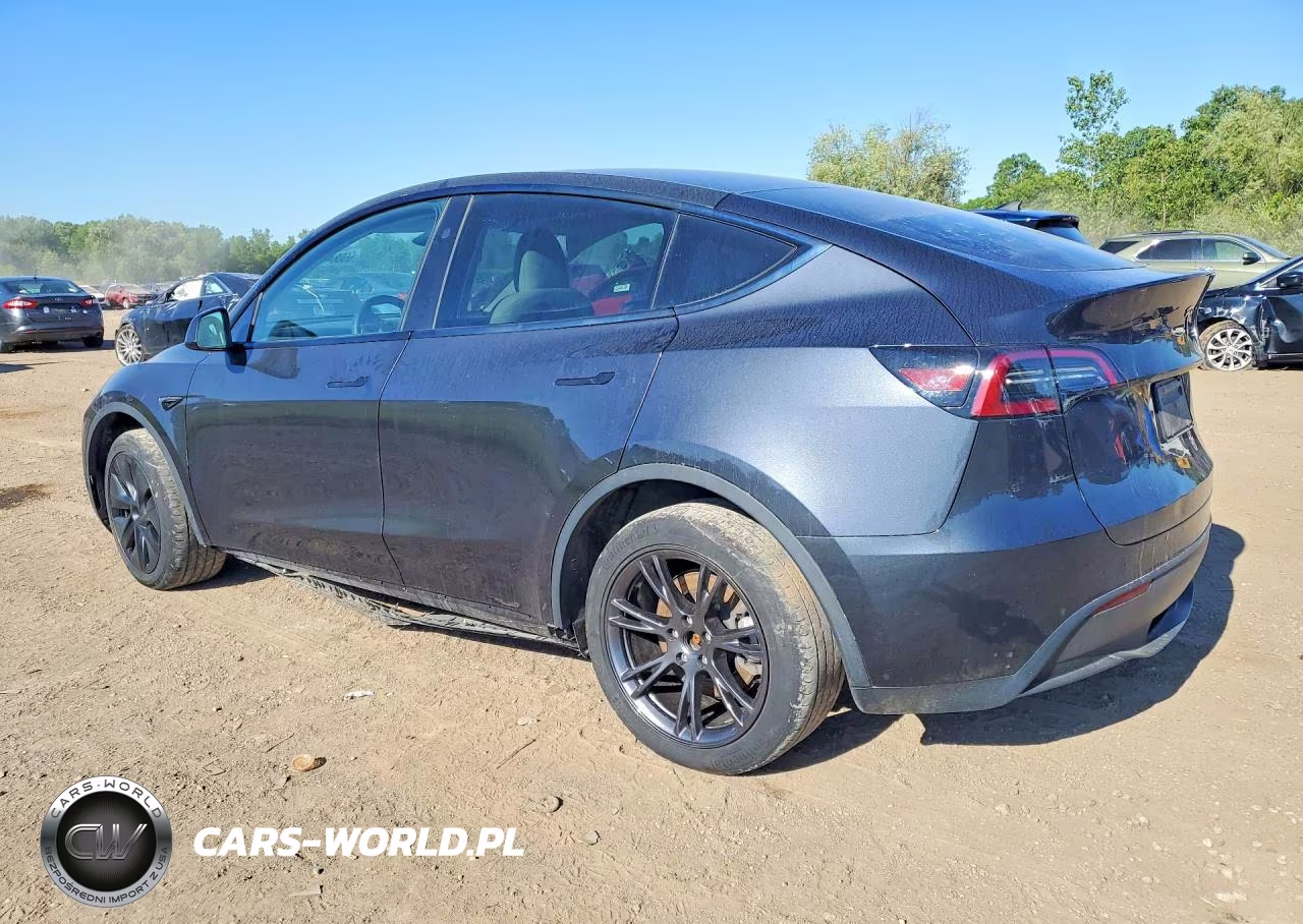 2025 Tesla Model Y VIN:7SAYGDEE0SF216612 - 2