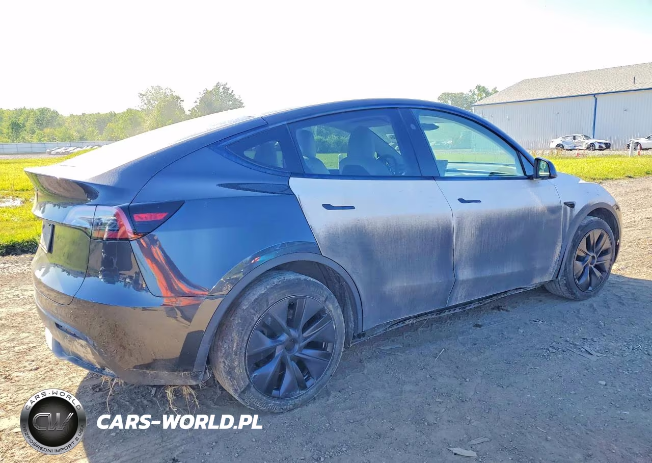 2025 Tesla Model Y VIN:7SAYGDEE0SF216612 - 3