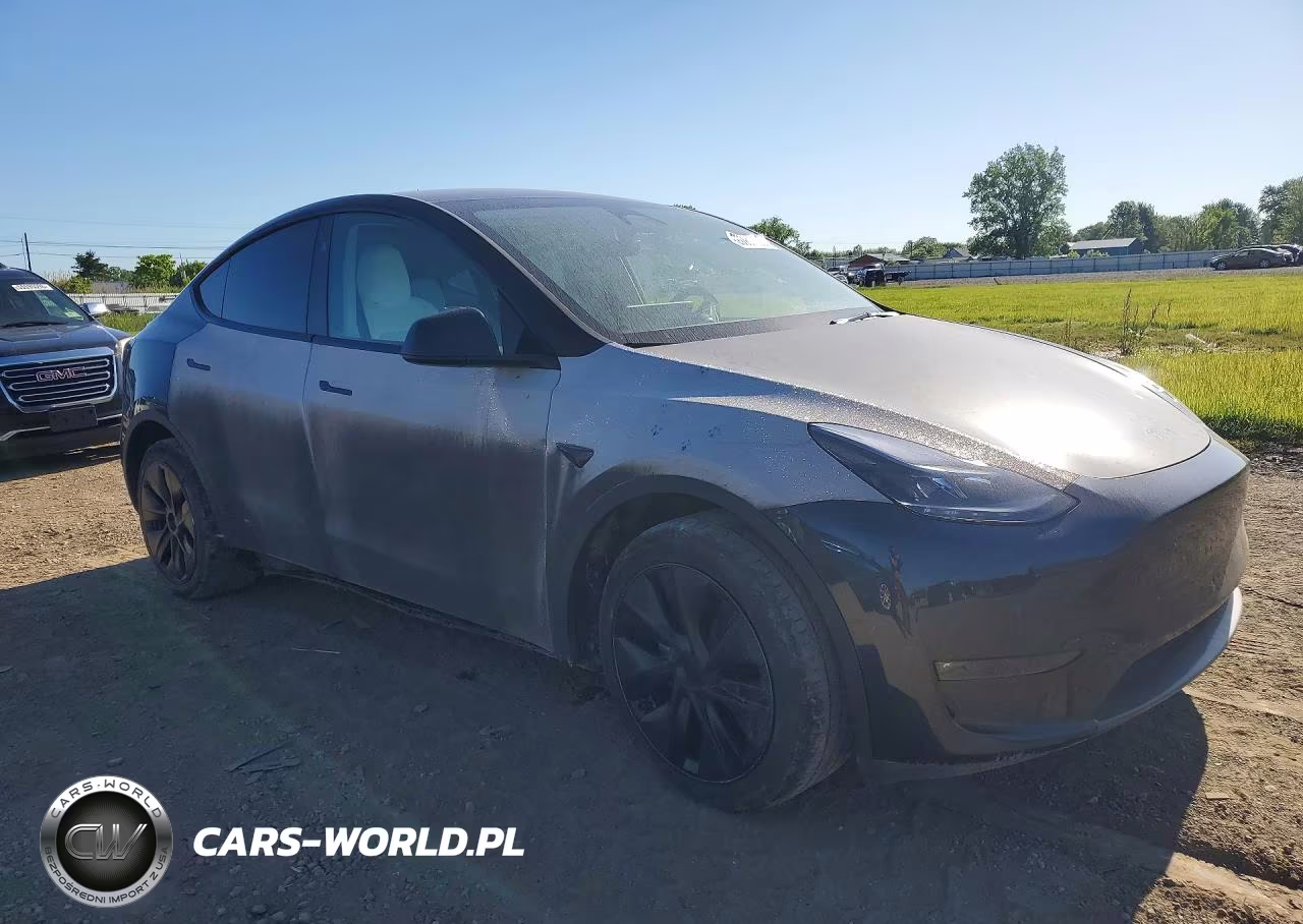 2025 Tesla Model Y VIN:7SAYGDEE0SF216612 - 4