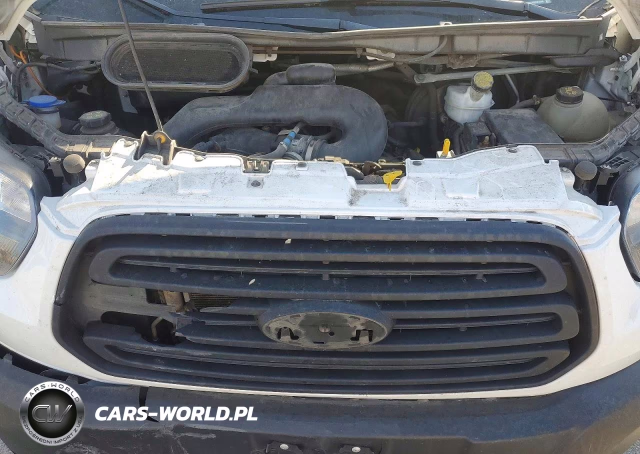2019 Ford Transit T-250 VIN:1FTYR2CM8KKB15990 - 12