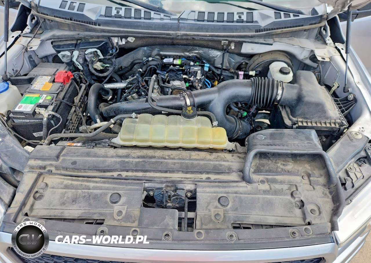 2020 Ford F150 Supercrew VIN:1FTEW1CP4LFB32974 - 11