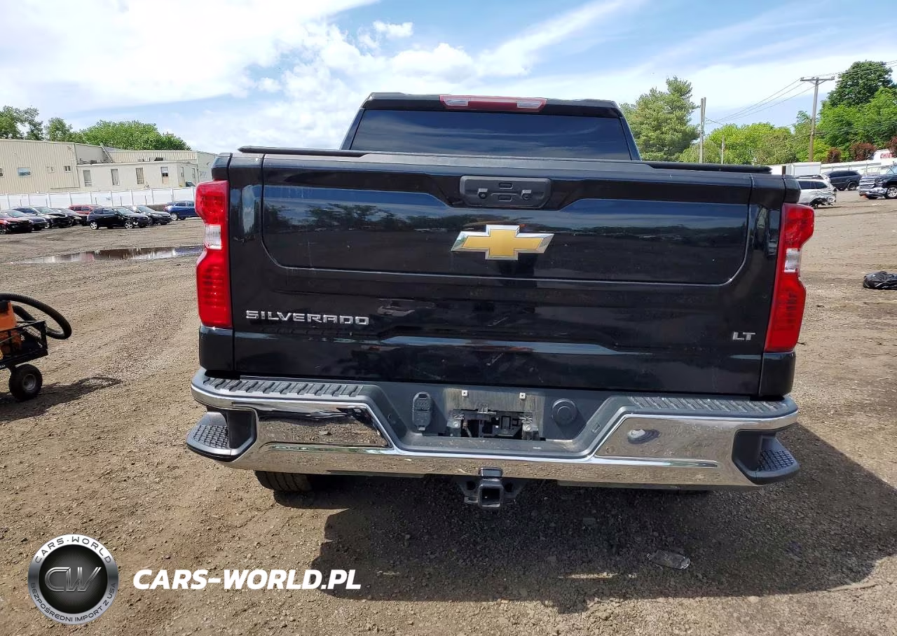 2023 Chevrolet Silverado K1500 Lt VIN:3GCPDDEK4PG197300 - 6