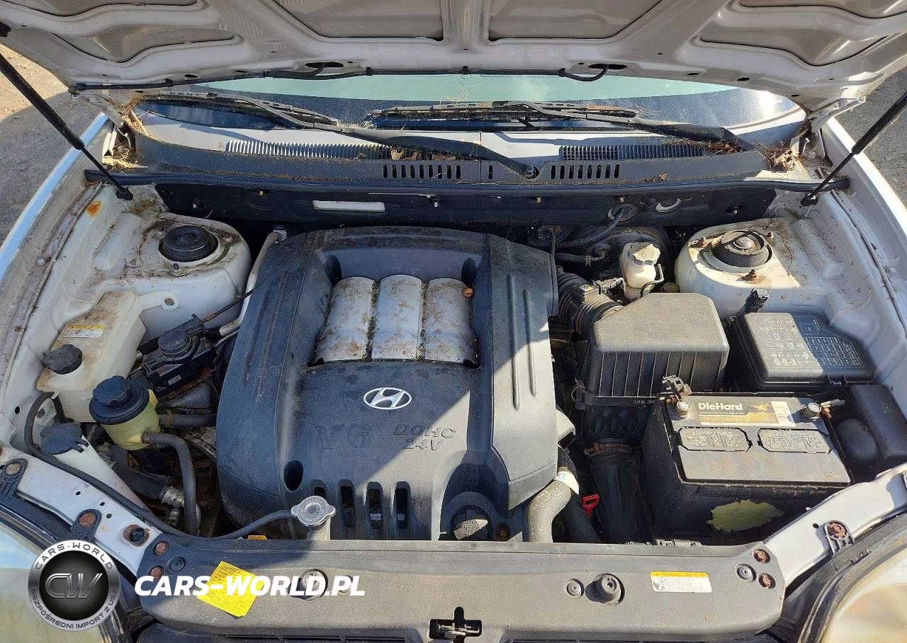 2006 Hyundai Santa Fe Gls VIN:KM8SC73D16U085886 - 12