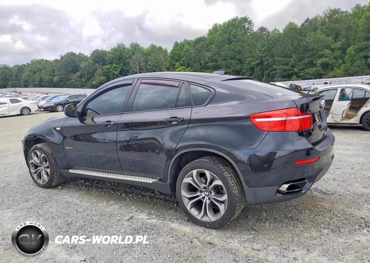 2011 BMW X6 xDrive50I VIN:5UXFG8C56BLZ95640 - 2