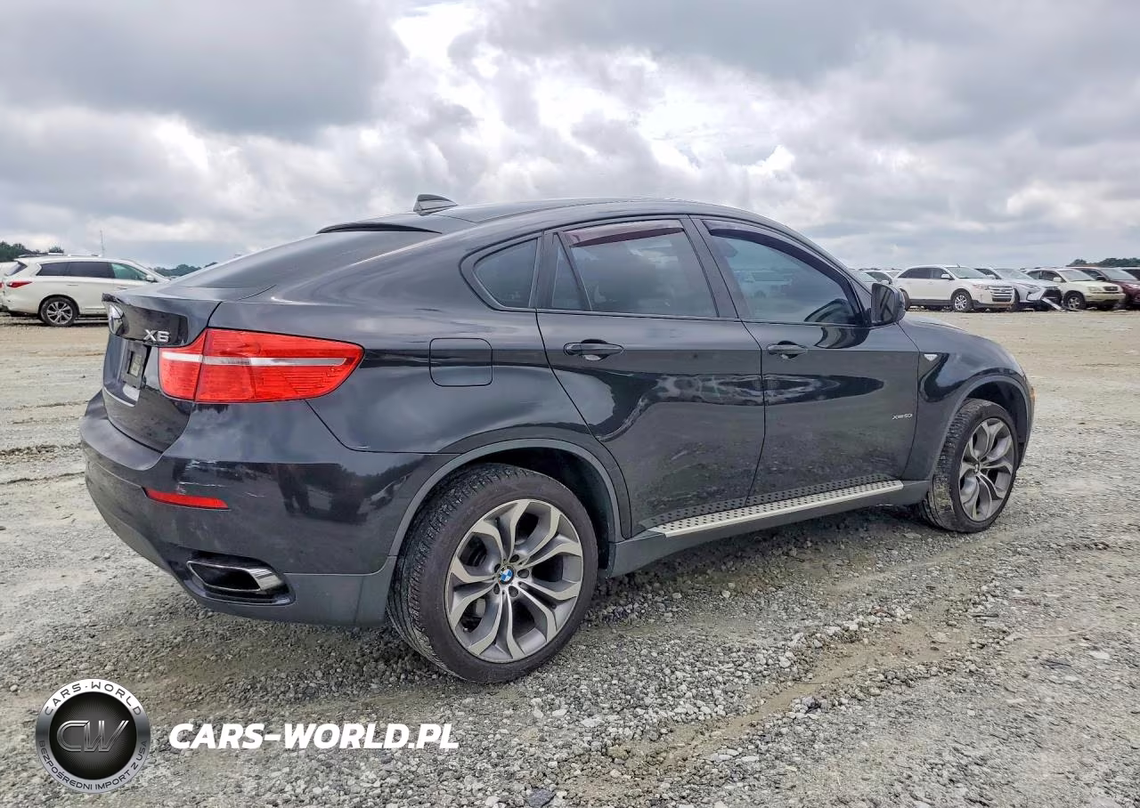 2011 BMW X6 xDrive50I VIN:5UXFG8C56BLZ95640 - 3
