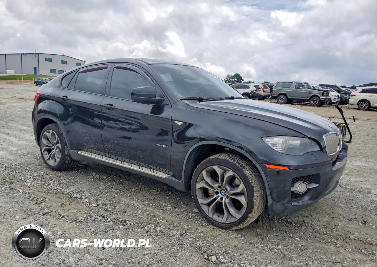 2011 BMW X6 xDrive50I VIN:5UXFG8C56BLZ95640 - 4