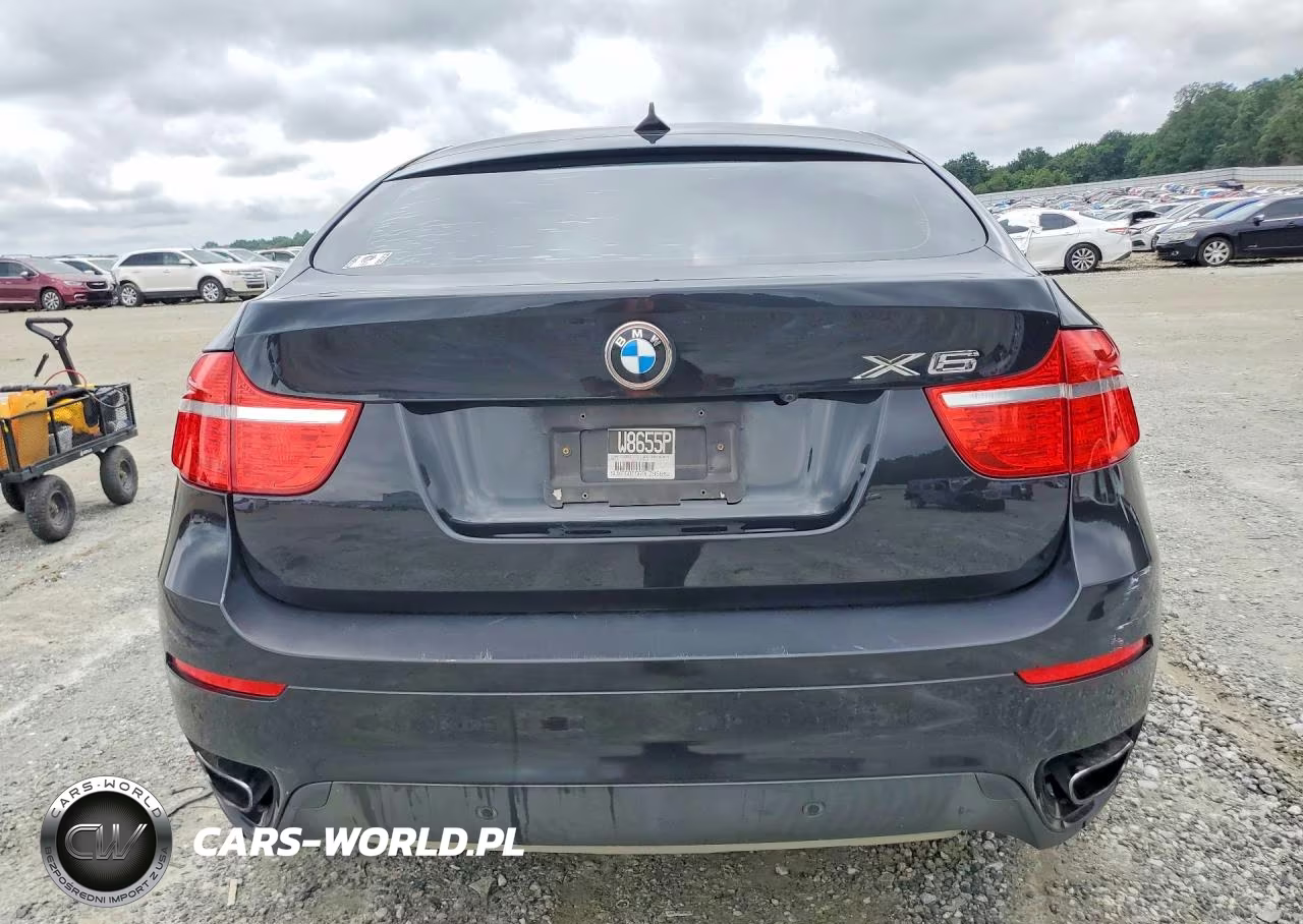 2011 BMW X6 xDrive50I VIN:5UXFG8C56BLZ95640 - 6