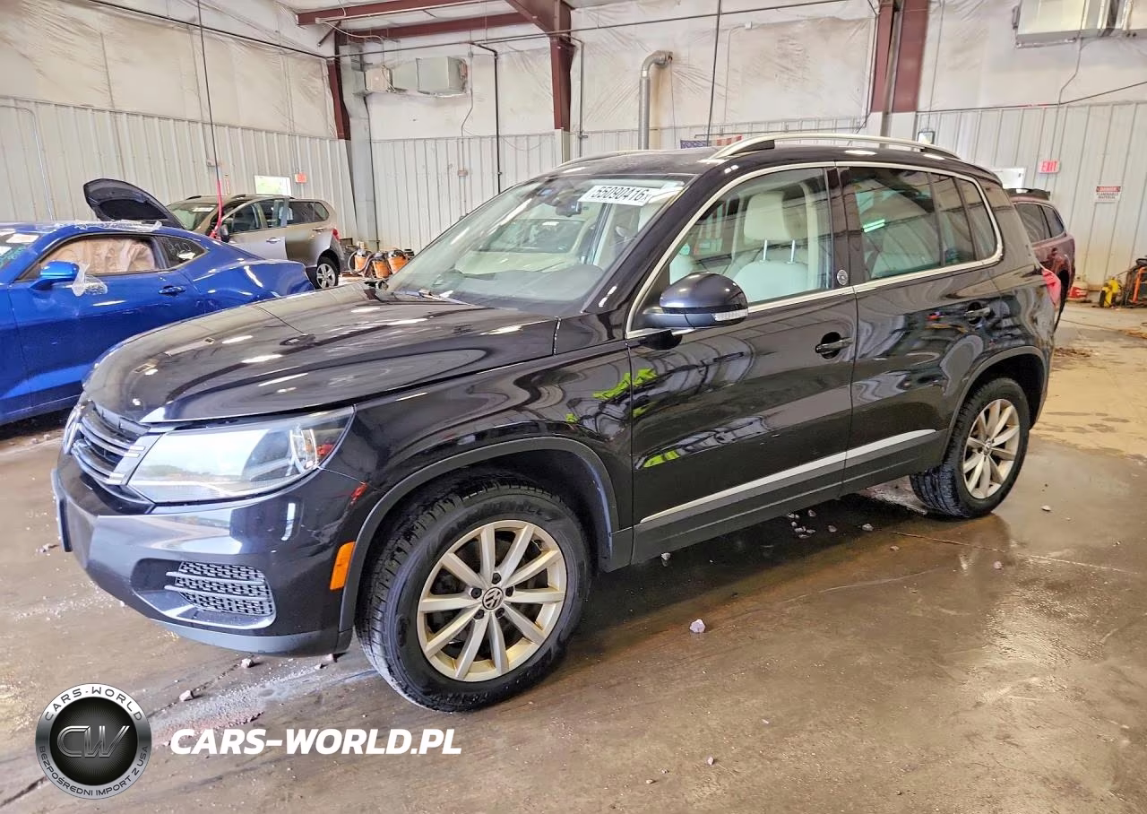 2017 Volkswagen Tiguan Wolfsburg