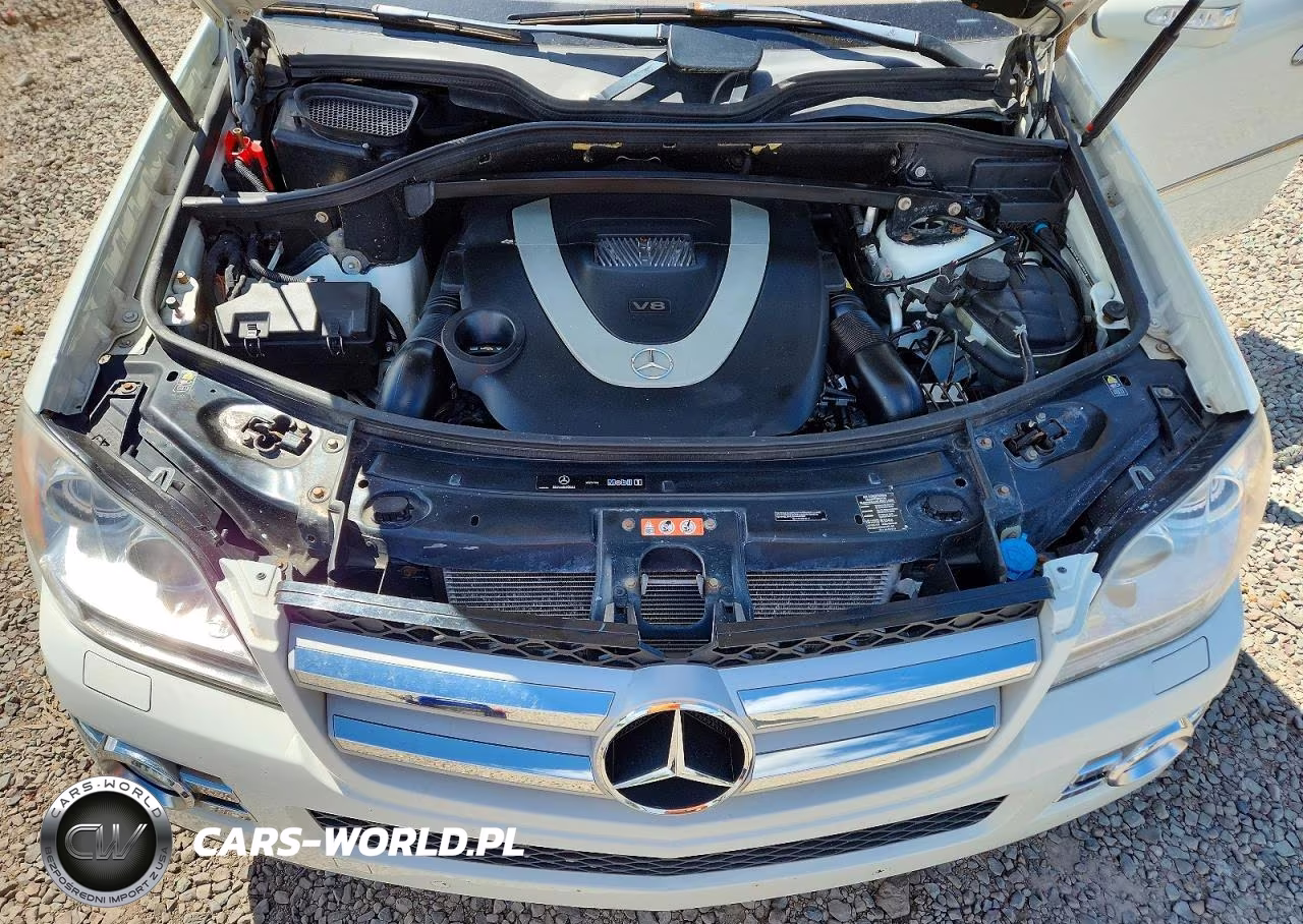 2008 Mercedes-Benz Gl 450 4Matic VIN:4JGBF71E08A303808 - 12