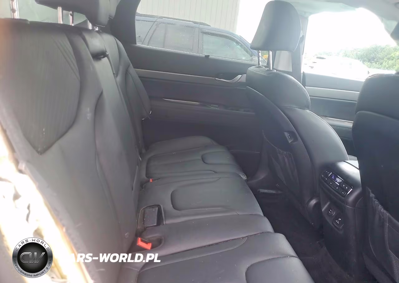 2025 Hyundai Palisade Sel Premium VIN:KM8R44GE2SU877603 - 11
