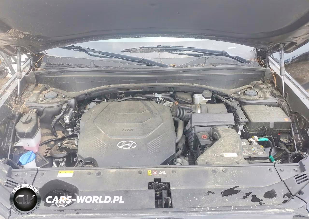 2025 Hyundai Palisade Sel Premium VIN:KM8R44GE2SU877603 - 12