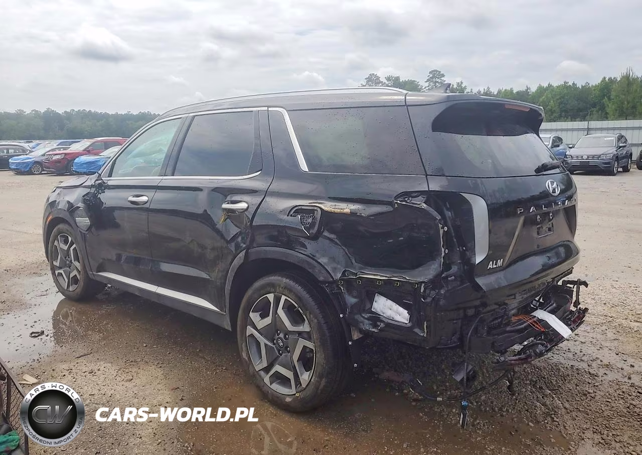 2025 Hyundai Palisade Sel Premium VIN:KM8R44GE2SU877603 - 2