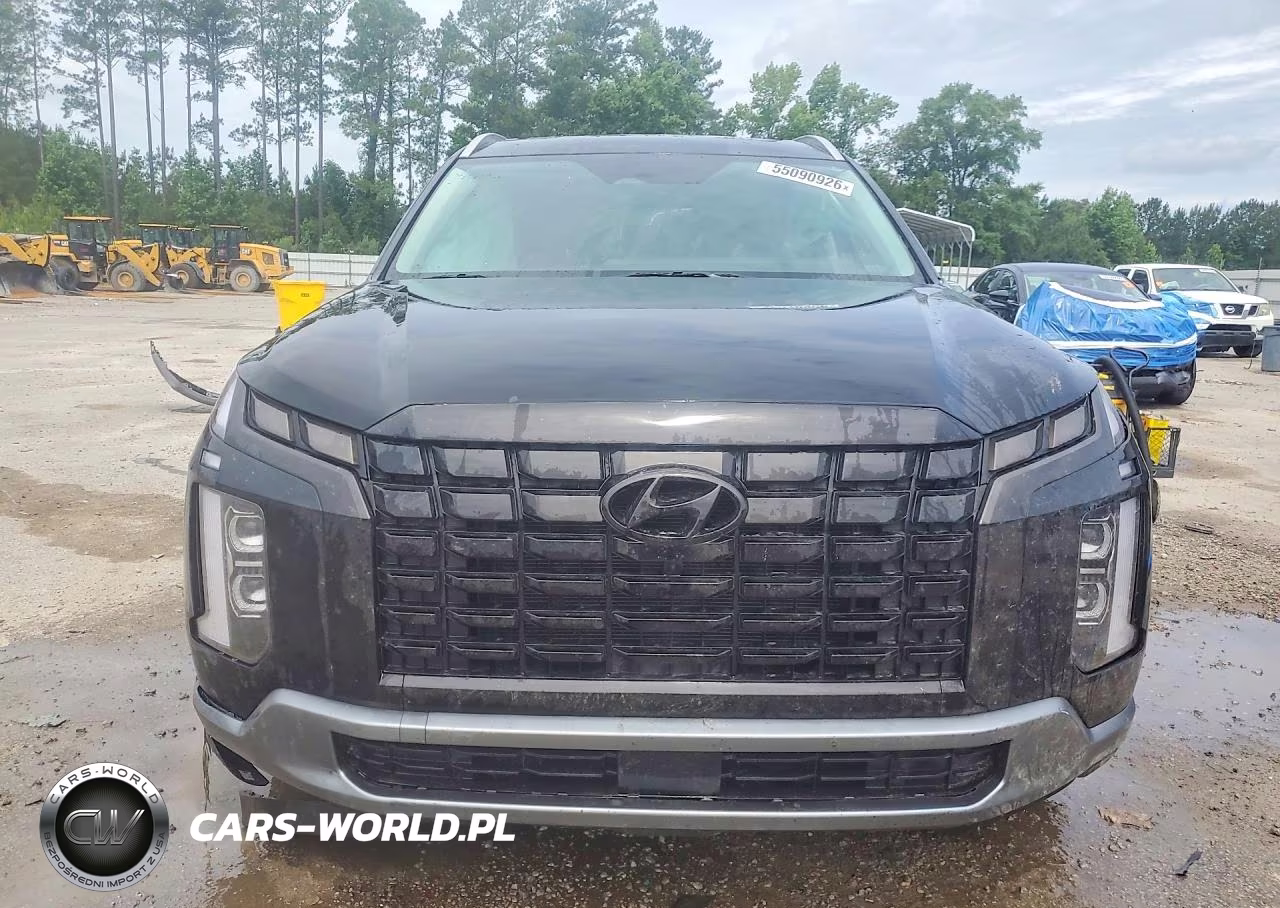 2025 Hyundai Palisade Sel Premium VIN:KM8R44GE2SU877603 - 5