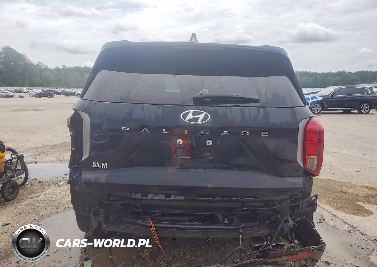 2025 Hyundai Palisade Sel Premium VIN:KM8R44GE2SU877603 - 6
