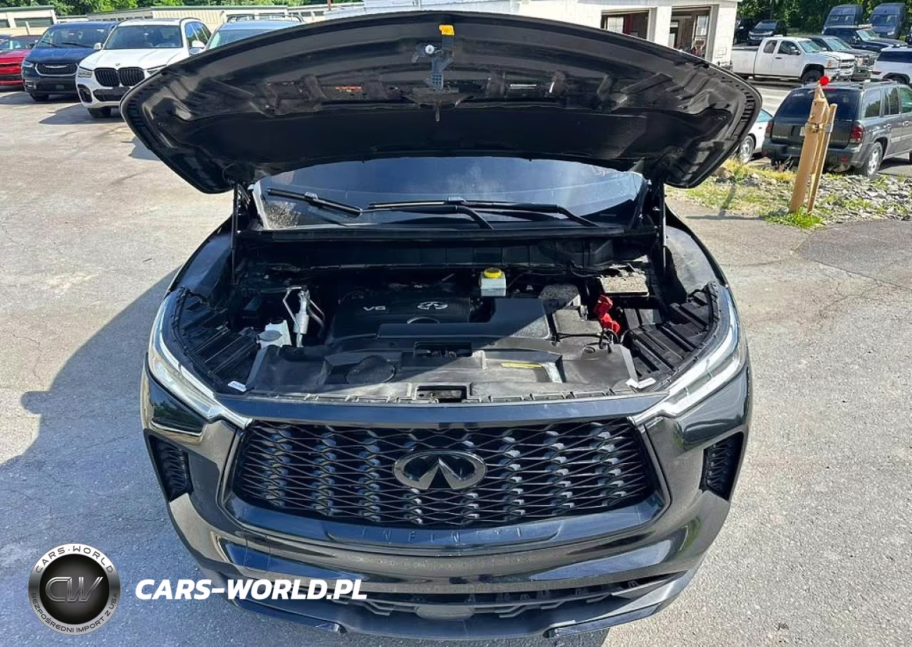 2024 Infiniti Qx60 Luxe VIN:5N1DL1FS1RC340143 - 5