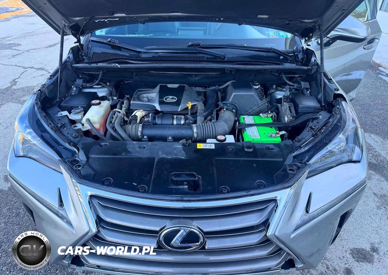 2016 Lexus Nx 200T Base VIN:JTJBARBZ5G2095978 - 8